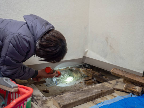 Best Comprehensive Air Testing for Mold Contaminants  in Aurora, OH