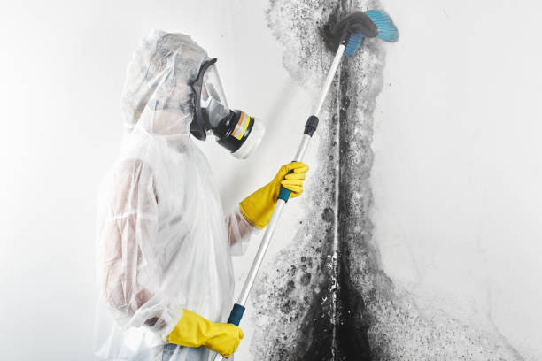 Best Biohazard Mold Removal  in Aurora, OH