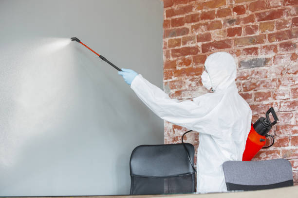 Best Mold Documentation for Insurance Claims  in Aurora, OH