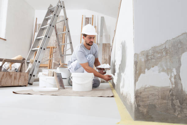 Best Mold Remediation for Rental Properties  in Aurora, OH