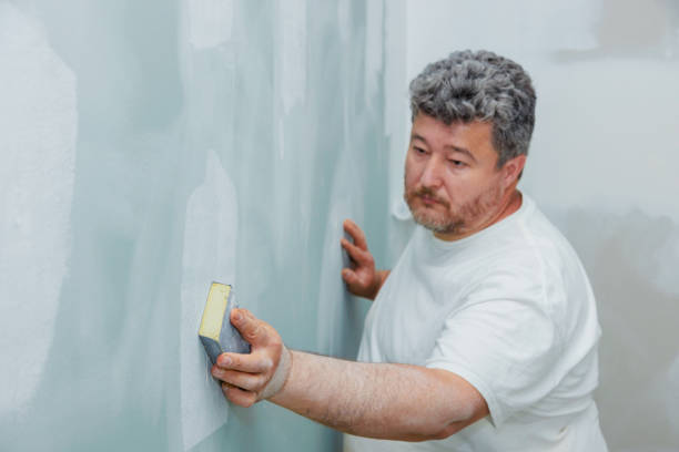 Best Mold Damage Restoration  in Aurora, OH