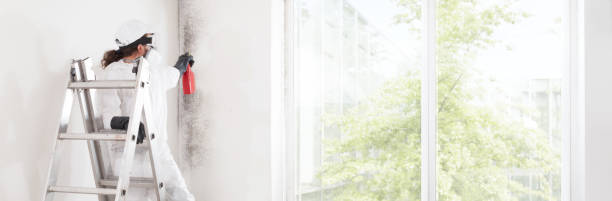 Mold Documentation for Insurance Claims in Aurora, OH